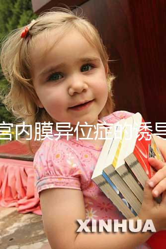 子宮內膜異位癥的誘導排卵方案,其實沒有標準答案