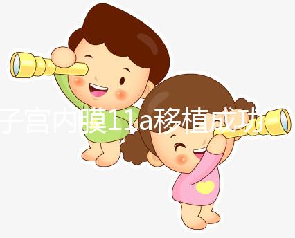 子宮內(nèi)膜11a移植成功率解析，好不好、適不適合著床看這