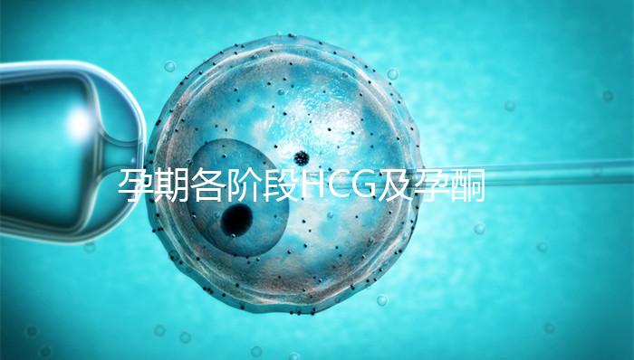 孕期各階段HCG及孕酮對照表，孕初期就要評估懷孕指標(biāo)