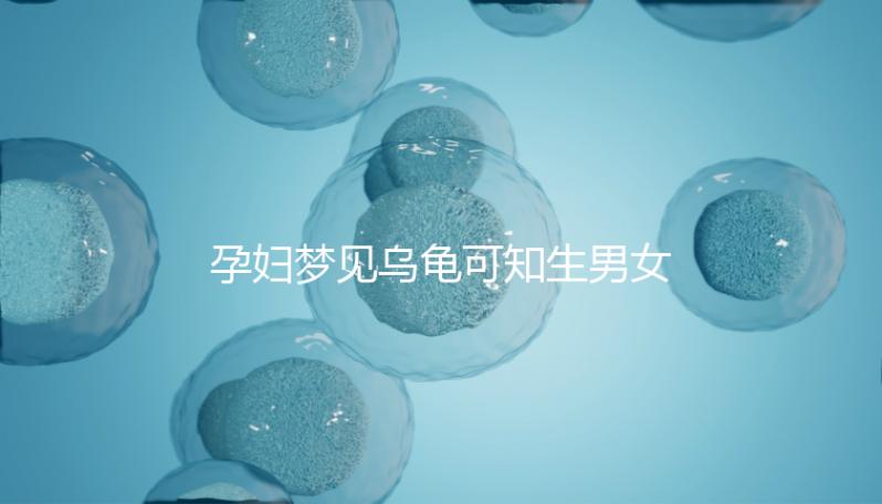 孕婦夢(mèng)見(jiàn)烏龜可知生男女?解讀相關(guān)胎夢(mèng)具體含義