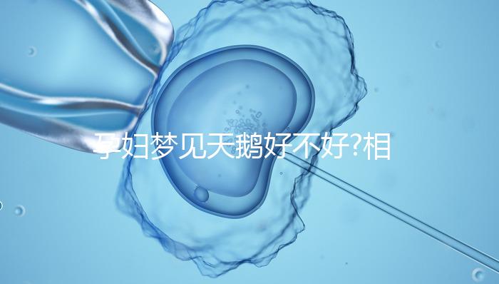 孕婦夢見天鵝好不好?相關(guān)的解讀大全都在這了