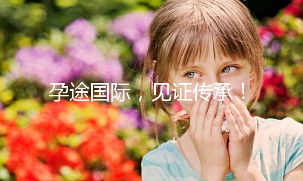 孕途國(guó)際，見(jiàn)證傳承！