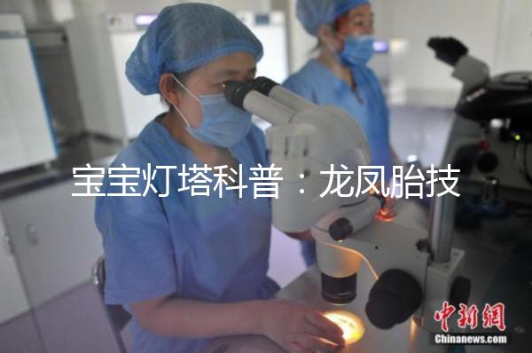 寶寶燈塔科普：龍鳳胎技術(shù)的原理和發(fā)展！