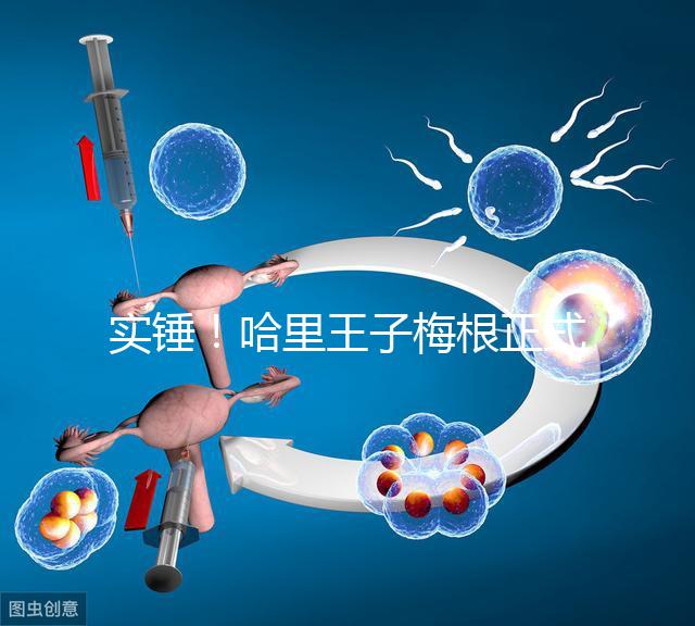 實錘！哈里王子梅根正式公布寶寶名字：阿爾奇·哈里森