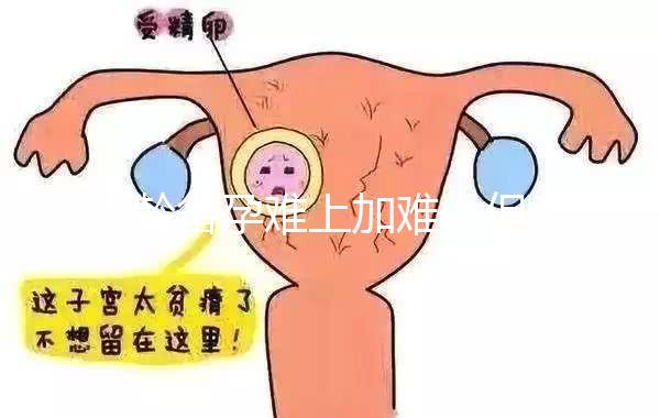 大齡備孕難上加難，但為什么越年輕的女性越容易懷孕？
