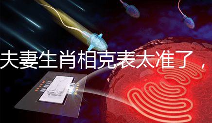 夫妻生肖相克表太準了，丑牛和午馬結合真犯“沖”