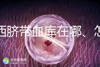 山西臍帶血庫在哪、怎么保存答案在這，太原存20年費用竟…