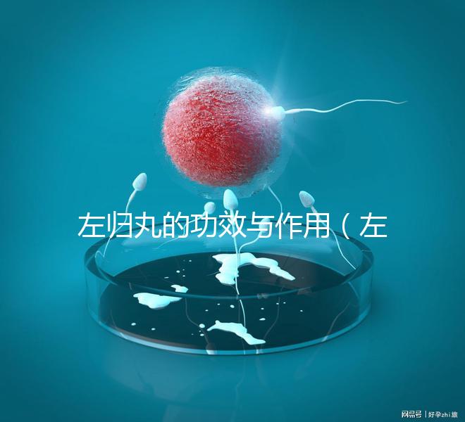 左歸丸的功效與作用（左歸丸的功效與作用和適用人群）