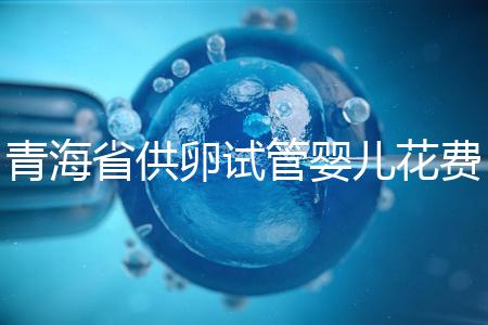 青海省供卵試管嬰兒花費明細表一覽，一次成功助孕費用最低