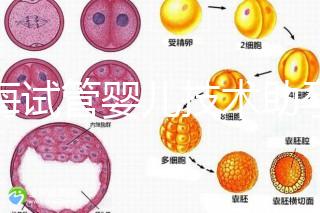 青海試管嬰兒技術(shù)助孕二胎 2家醫(yī)院費(fèi)用