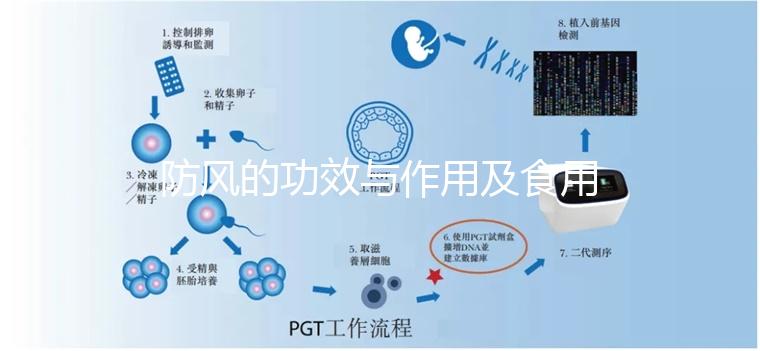 防風(fēng)的功效與作用及食用方法(防風(fēng)的功效與作用及食用方法分別是什么?)