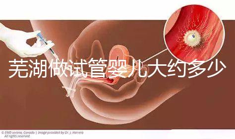 蕪湖做試管嬰兒大約多少錢(qián)?一次成功率高嗎?