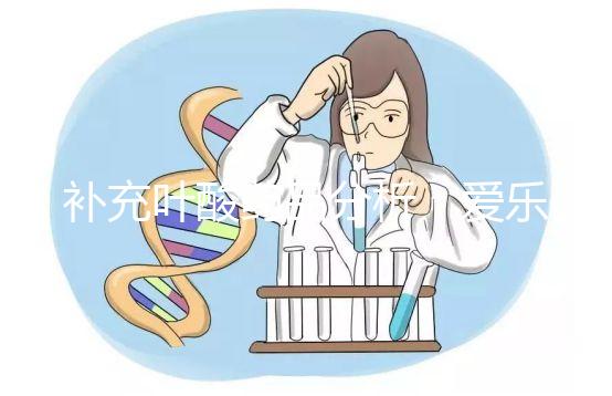 補(bǔ)充葉酸藥品分析：愛樂維和斯利安哪個(gè)孕期更需？