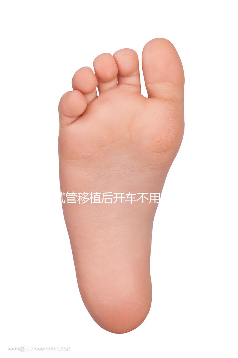 試管移植后開(kāi)車(chē)不用太講究,休息和出行問(wèn)題解答都在這里