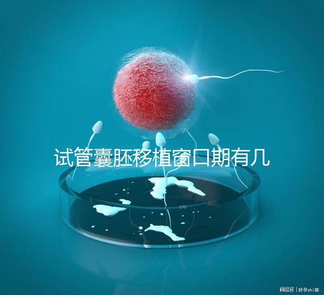 試管囊胚移植窗口期有幾天看這，弄明白什么時候更易著床