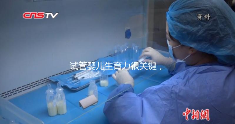 試管嬰兒生育力很關鍵，4個方面評估好不好？