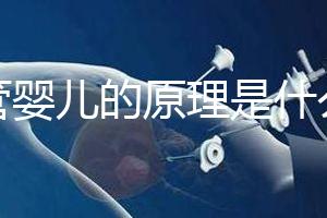 試管嬰兒的原理是什么？一代二代三代有什么區別？