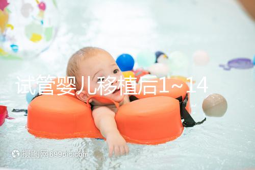 試管嬰兒移植后1~14天反應