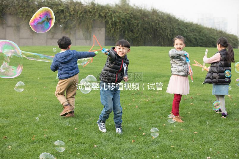 試管嬰兒移植視頻（試管嬰兒移植視頻播放真實）