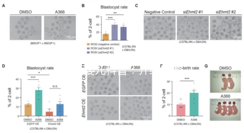 試管嬰兒科普：介紹試管嬰兒的基本概念、原理、分類、適應癥、優(yōu)勢等