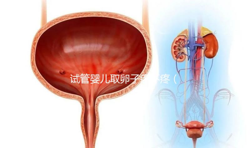 試管嬰兒取卵子疼不疼(試管嬰兒取卵過程疼嗎)