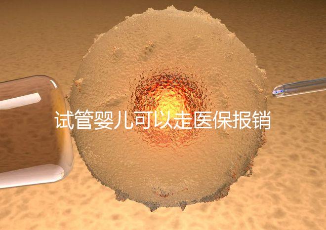試管嬰兒可以走醫(yī)保報銷嗎？2025年最新費用標(biāo)準(zhǔn)及政策解讀