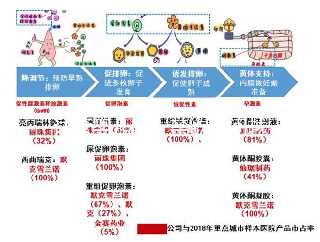 試管嬰兒前，禁欲時間越長，精子質量越好嗎？