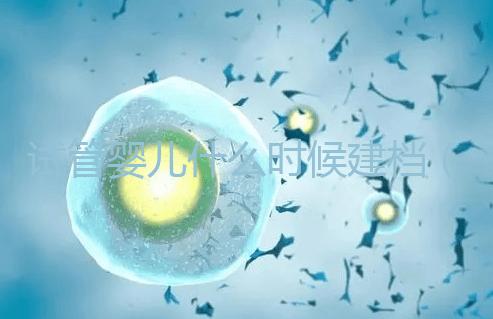 試管嬰兒什么時候建檔（試管建檔當天要交多少錢）