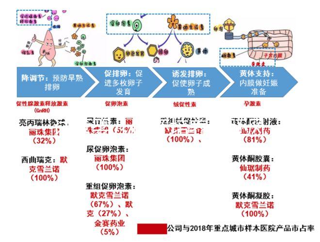 試管嬰兒優(yōu)胚培養(yǎng)囊胚風(fēng)險(xiǎn)特別大，逃不掉這3大原因