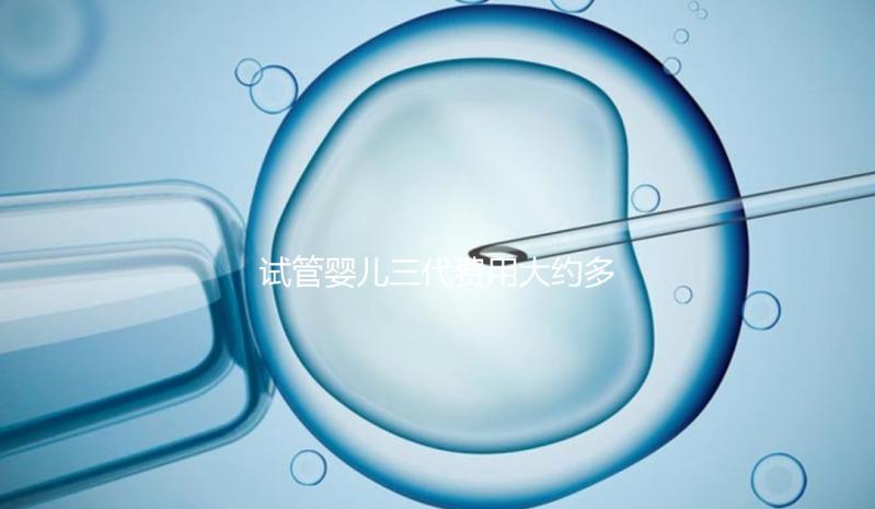 試管嬰兒三代費用大約多少？