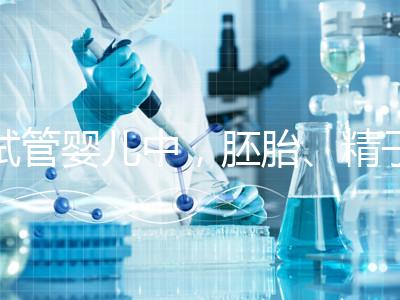 試管嬰兒中，胚胎、精子和卵子分別能冷凍多久？