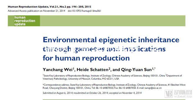 試管嬰兒需多少費(fèi)用？省錢攻略建議收藏！