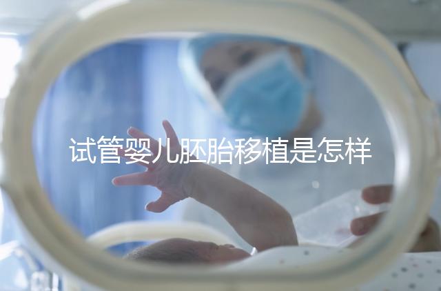 試管嬰兒胚胎移植是怎樣的過(guò)程？