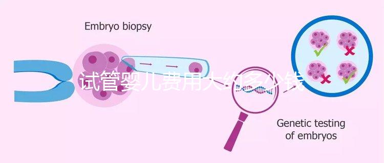 試管嬰兒費(fèi)用大約多少錢？
