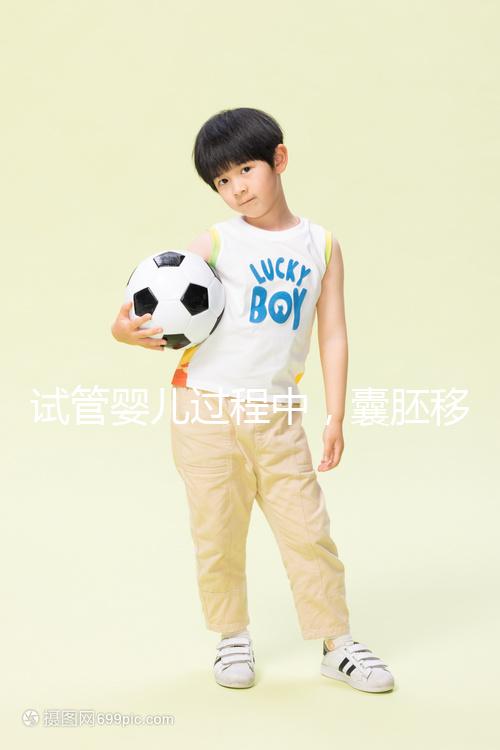 試管嬰兒過程中，囊胚移植和鮮胚移植哪個成功率更高？