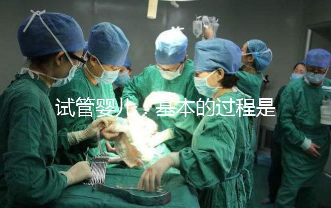 試管嬰兒：基本的過程是怎樣的