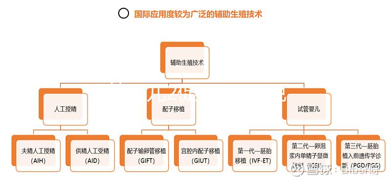 試管嬰兒2促3移，說說5點我的成功懷孕經驗