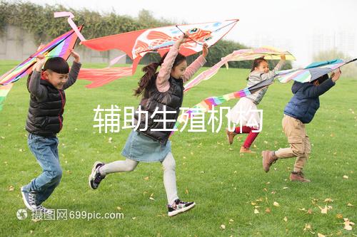 輔助生殖機(jī)構(gòu)