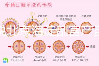 誰(shuí)說(shuō)北京海淀剖宮產(chǎn)自付費(fèi)用高，了解2024年生育保險(xiǎn)報(bào)銷比例？