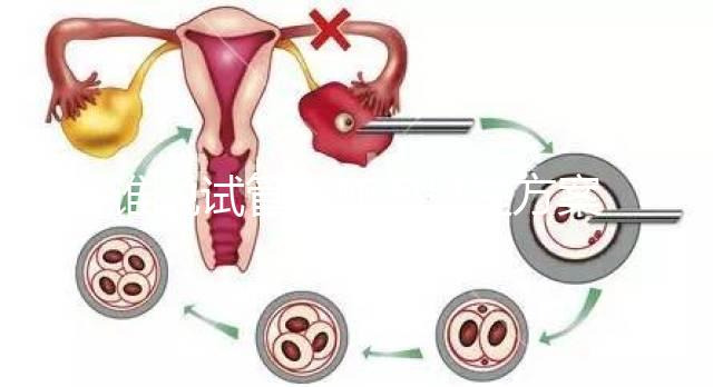 誰說試管空卵泡只是方案不對,怎么回事看完一清二楚?