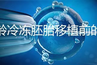 高齡冷凍胚胎移植前的注意事項和禁忌可以清楚地分類嗎？