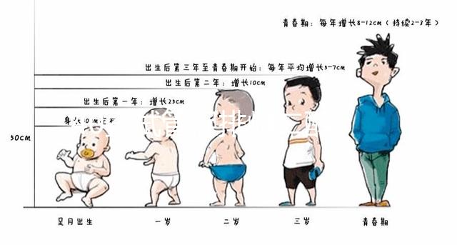 40歲試管促排雌二醇385是否1-2個卵的答案揭曉，想造戳