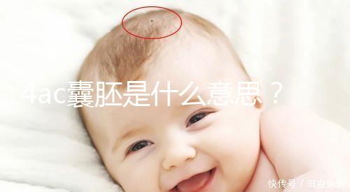 4ac囊胚是什么意思？移植成功率