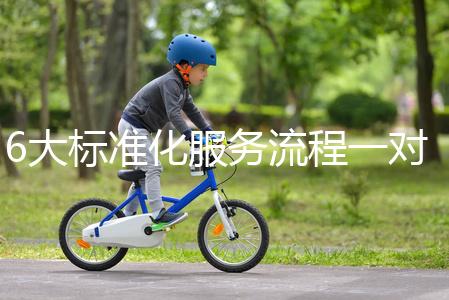 6大標準化服務流程一對一貼心服務，全程中文陪同