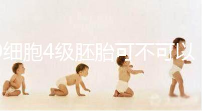 9細胞4級胚胎可不可以移植，看完質量差不差再下定論