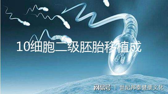 10細胞二級胚胎移植成功率解析，應不應該養囊答案在這