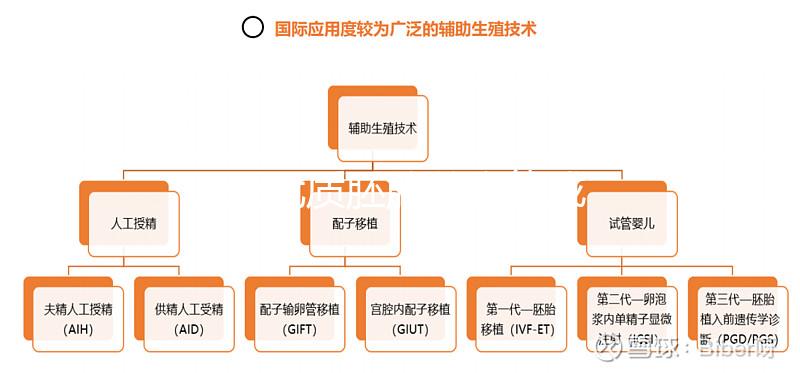 11個優質胚胎養囊能成功多少分人，只有5個可能是...
