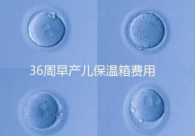 36周早產(chǎn)兒保溫箱費(fèi)用整理，12天到4斤花不了多少錢