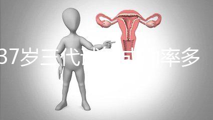 37歲三代試管成功率多少戳，案例告訴你要移植兩個囊胚