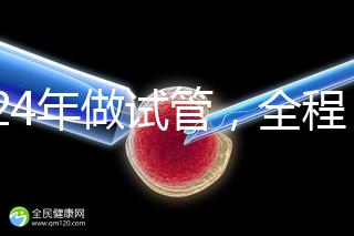 2024年做試管，全程下來(lái)要多少錢？